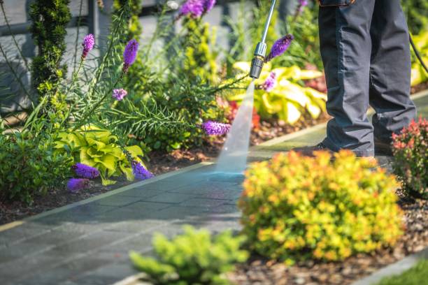 Best Sidewalk and Walkway Cleaning  in Salem, WV