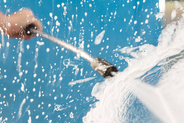 Best Animal Enclosure Cleaning  in Salem, WV